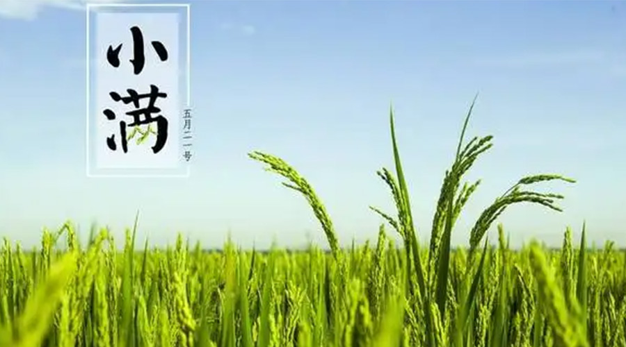 小滿時節(jié)！金環(huán)電器提醒大家要注意的事項