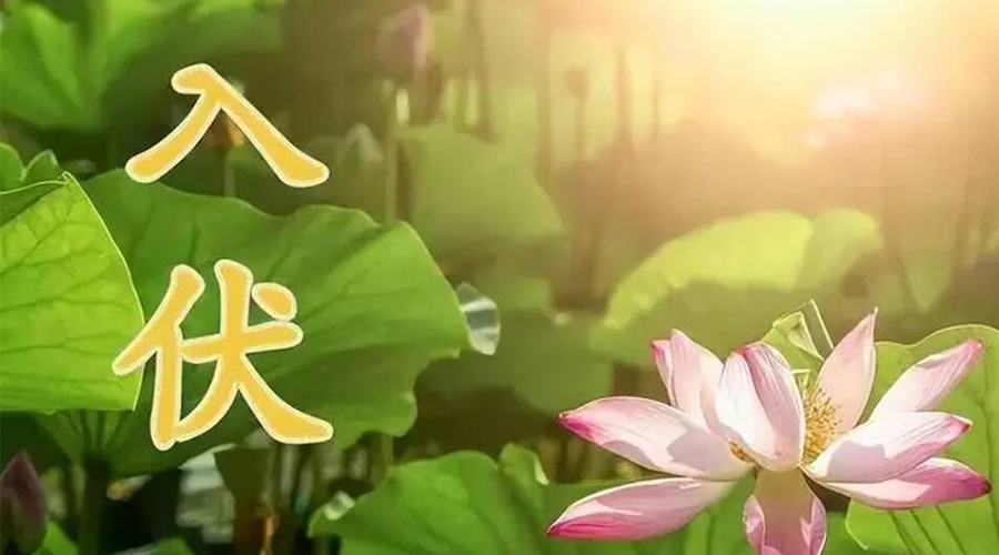 入伏天來(lái)襲！金環(huán)電器提醒大家要注意的事項(xiàng)