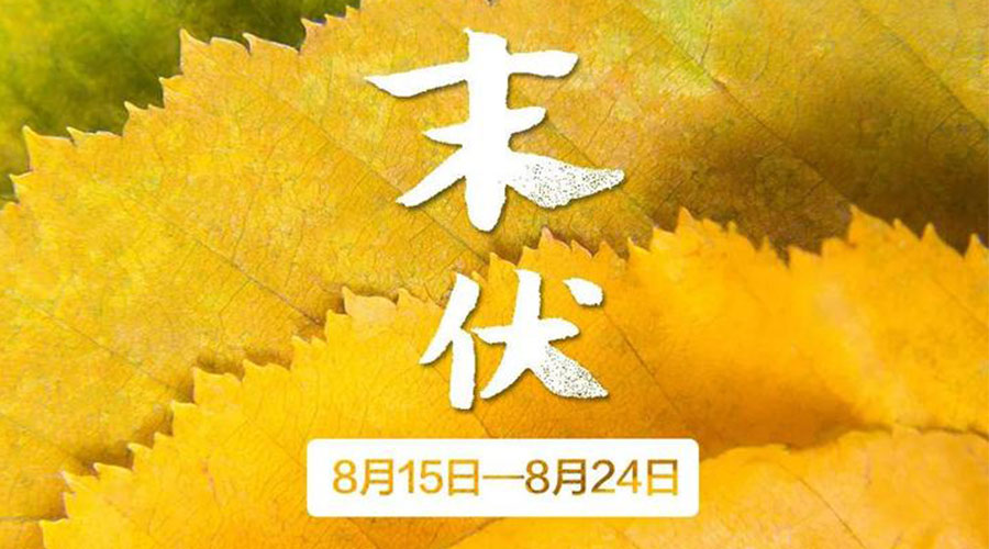 末伏時節(jié)！金環(huán)電器提醒你謹記這些注意事項