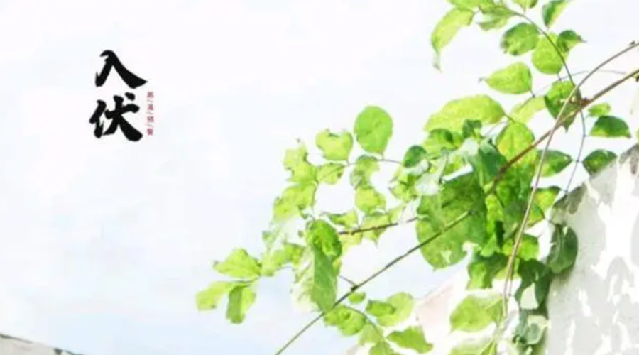 初伏時(shí)節(jié)！金環(huán)電器提醒大家要注意的事項(xiàng)